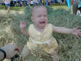 Angie 1st time on hay